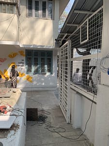 IMG_6862